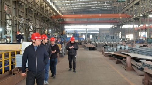 Latest company news about Several international customers visited and praised CHANGLIN WEA